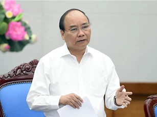 "Giấy phép kinh doanh rất nhiều, rất nhiều, người ta kêu nhiều lắm"