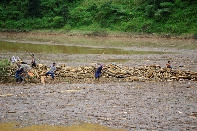 Lũ quét ở Sơn La, Yên Bái: Người dân liều mình đi vớt "lộc trời"