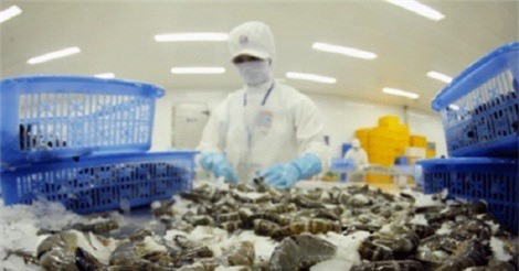 Mỹ tăng thuế chống bán phá giá với tôm Việt Nam