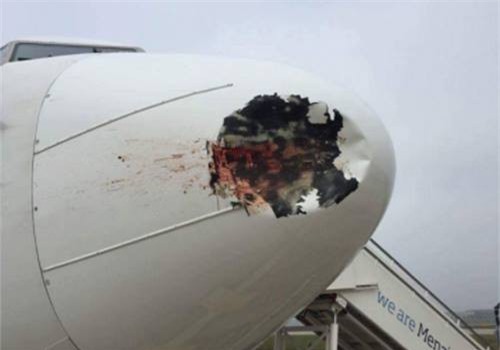 Máy bay Vietjet Air bị chim va vào động cơ, nhiều chuyến bay kế tiếp bị hủy