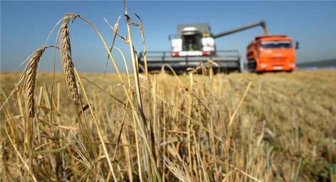 Cựu Bộ trưởng Nông nghiệp Ý lên án lệnh trừng phạt chống Nga của EU