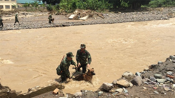 Lũ quét ở Sơn La, Yên Bái: Chó nghiệp vụ tìm kiếm người mất tích