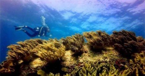 Vụ nhận chìm 1 triệu m3 bùn thải: Đề xuất giải pháp mới