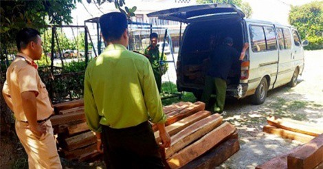 CSGT truy đuổi, bắt giữ 179 lóng gỗ lậu không nguồn gốc