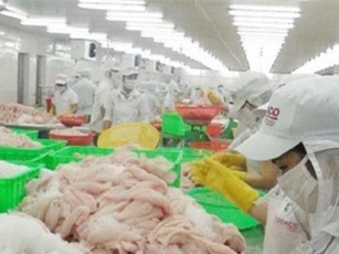 Xuất khẩu cá tra của Việt Nam đi Mỹ gặp khó