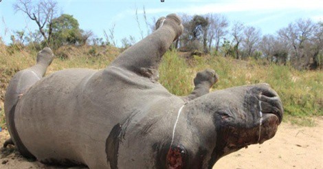 Ca s&#x129; H&#x1ED3;ng Nhung v&#xE0; MC Phan Anh k&#xEA;u g&#x1ECD;i kh&#xF4;ng s&#x1EED; d&#x1EE5;ng s&#x1EEB;ng t&#xEA; gi&#xE1;c