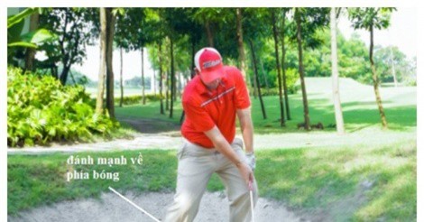 Giải thoát Bóng “ấp trứng”