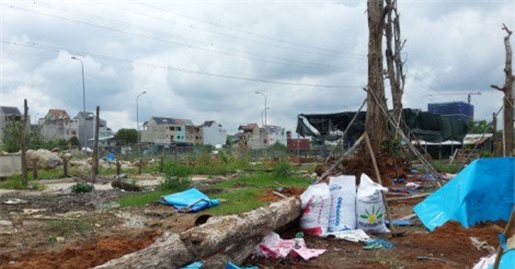 Bị cây đổ trúng người, nam thanh niên chết thảm