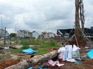 Bị cây đổ trúng người, nam thanh niên chết thảm