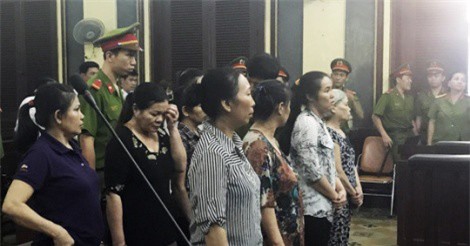 Đột nhập trộm cắp hàng trăm cây vải, nhóm nữ nhặt ve chai hầu tòa