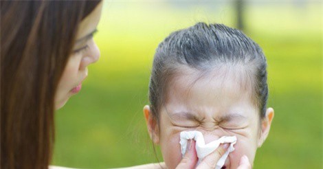 Phòng ngừa cảm cúm của Probiotics từ tập đoàn men sống châu âu CHR Hansen