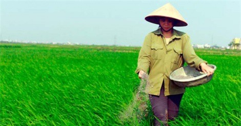 Áp thuế tự vệ tạm thời với phân bón DAP, MAP nhập khẩu từ 19/8