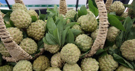 Na Chi Lăng VietGrap "giá khủng" hút khách Hà Nội