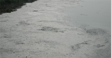 Dân Phong Khê “khốn khổ” vì ô nhiễm từ nhà máy giấy: UBND TP Bắc Ninh “né” báo chí?