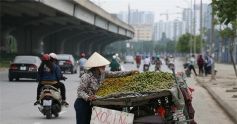 Hà Nội cấm buôn bán trái cây trên vỉa hè, lòng đường