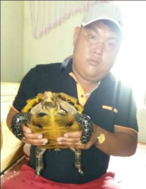 Ngư dân bắt được rùa vàng, thương lái trả 300 triệu đồng/kg không bán