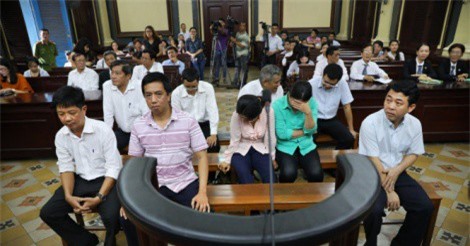 Nhập thuốc ung thư giả: VN Pharma lập hàng loạt công ty "con"