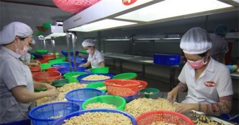 Tiềm năng thương mại giữa Việt Nam-Liên minh kinh tế Á-Âu