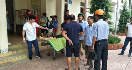 Cán bộ thú y chết thảm vì bị "trâu điên" húc lúc tiêm thuốc