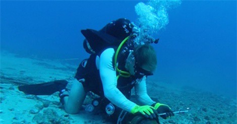 Đứt cáp quang biển: Mất 3 - 4 tuần sẽ khắc phục sự cố 