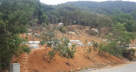 Sơn Trà: Đưa ra khỏi quy hoạch những dự án có vị trí "nhạy cảm"