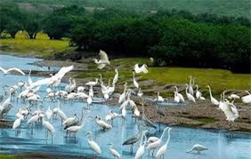 "Vui thả ga" tại 5 điểm du lịch hot nhất miền Nam dịp nghỉ lễ 2/9