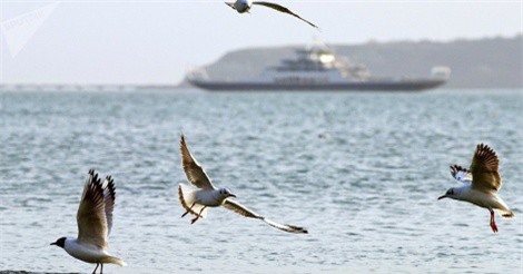 Lập trường của Mỹ về quy chế bán đảo Crimea có tính hai mặt