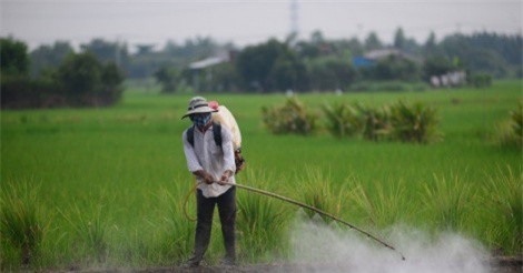 Người Việt chi hơn 15.000 tỷ nhập thuốc trừ sâu trong 8 tháng