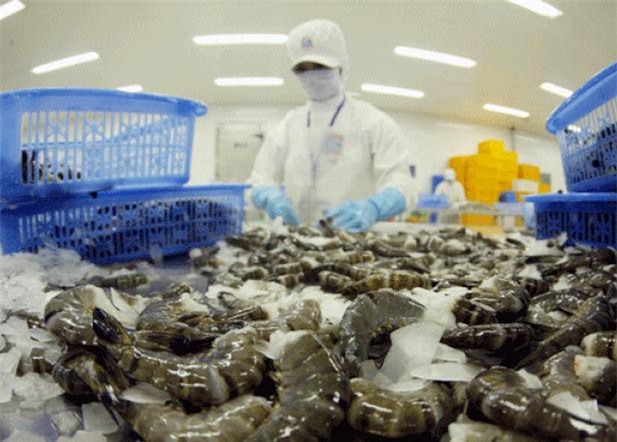 Kiểm soát dịch bệnh đối với tôm xuất khẩu sang thị trường Úc