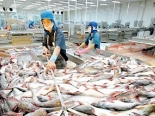 Lần đầu tiên hội chợ cá tra sẽ được tổ chức tại Hà Nội