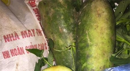 Tóm gọn xe thực phẩm bẩn được đưa vào trường tiểu học ở Vĩnh Phúc