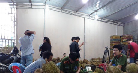 Bắt quả tang cơ sở làm chín sầu riêng bằng hóa chất