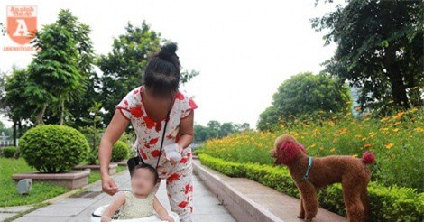 Chó thả rông ở Hà Nội sẽ bị bắt nhốt: Người dân mơ hồ