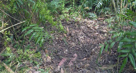 Hoảng hồn phát hiện xác bé gái 13 tuổi bị chôn trong bụi cây