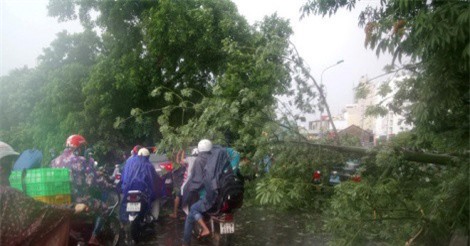 Khẩn trương đối phó bão số 10, gần 700.000 học sinh Nghệ An nghỉ học