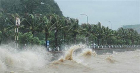 Bão số 10 đổ bộ, 14.400 dân ven biển sơ tán trước 8h30 sáng 15/9