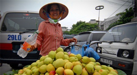 Trung Quốc chi 1,79 tỷ USD nhập khẩu rau quả Việt Nam