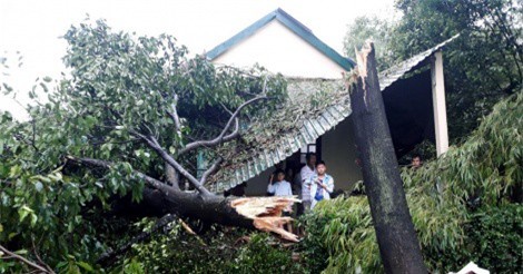 12 người thương vong, hàng nghìn ngôi nhà hư hỏng sau cơn bão số 10