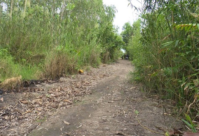 Bé gái bị giết hại, chôn xác: "Rùng mình" lời khai nghi phạm