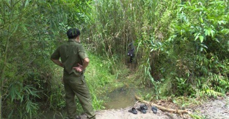 Khởi tố vụ bé gái 13 tuổi ở miền Tây bị sát hại, phi tang