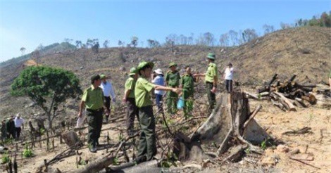 Hơn 60ha rừng tự nhiên bị phá, 2 cán bộ kiểm lâm bị đình chỉ công tác
