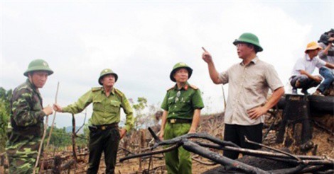 Quảng Nam: Khởi tố vụ phá rừng để trồng keo ở Tiên Phước