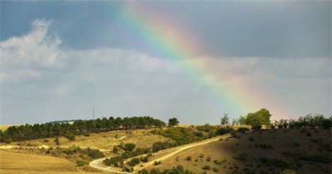 Ukraine vô tình thúc đẩy bán đảo Crimea phát triển?