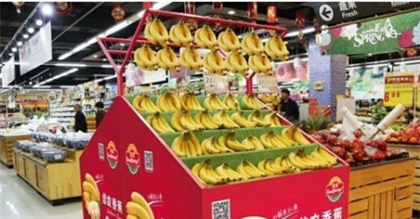 Chuối của bầu Đức được bán tại các siêu thị Trung Quốc