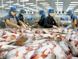 Xuất khẩu thủy sản sẽ đạt 8-9 tỷ USD vào năm 2020