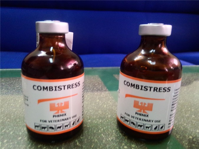 Gần 4.000 con heo bị tiêm thuốc an thần: Yêu cầu 17 cán bộ giải trình