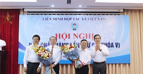 Phó Ban kinh tế TW làm Chủ tịch Liên minh HTX thay ông Võ Kim Cự