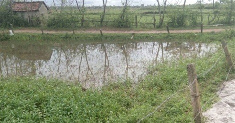 Đi bắt cá trong đêm, 2 người bị điện giật tử vong