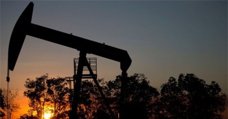 Putin: Không phải dầu mỏ, kinh tế Nga cần dựa vào "bộ não"