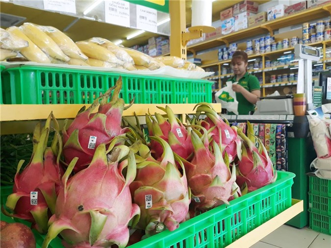 Bầu Đức bắt đầu kiếm bộn tiền từ thu hoạch thanh long